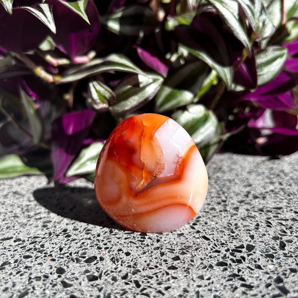 Small Carnelian Freeform